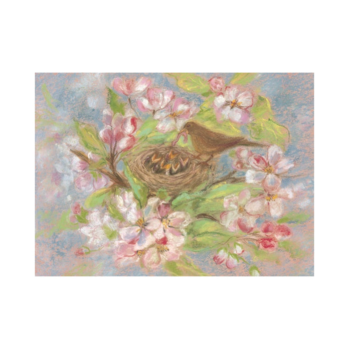 95254350 Postcards - Bird Nest, pack of 5 cards