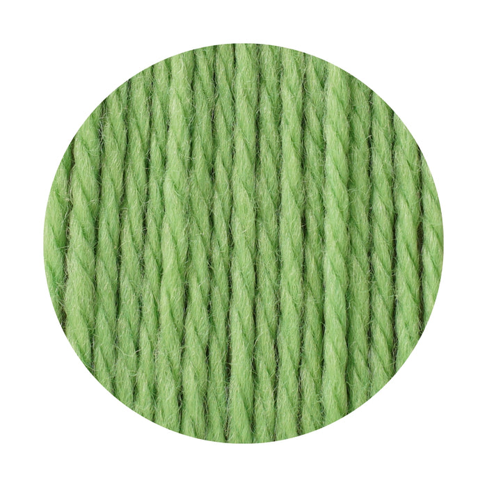 Golden Fleece 16 ply Australian eco wool yarn 50g light green