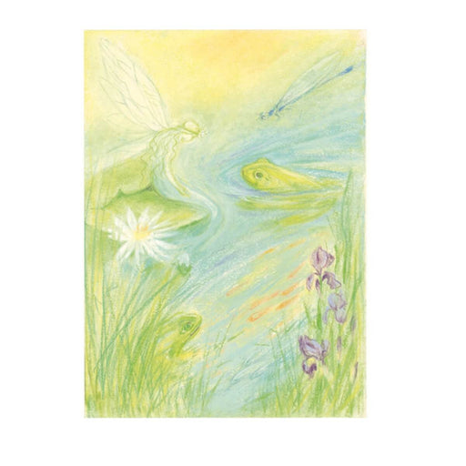 95254442 Postcards - Nymphs and Frog, 5pk 