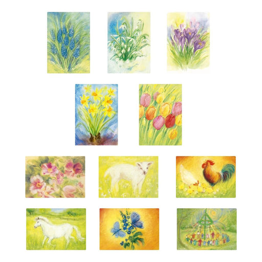 95305031 Postcards 'Spring / Summer Set 1' assorted pk of 11 by Marjan van Zeyl