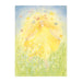 95254440 Postcards- Springtime is back 5 pk