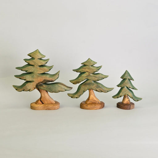 P067 Predan Pine Tree Medium